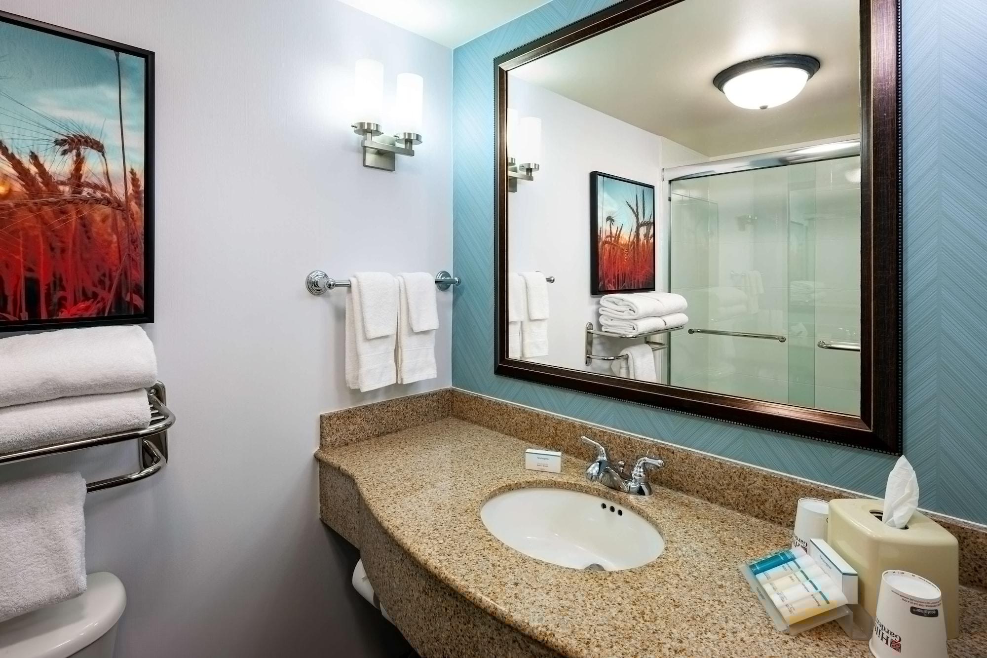 Hotel Hilton Garden Downtown-old Market Area 3*